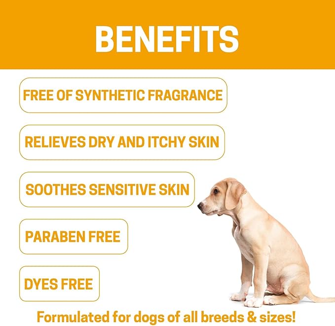 Green Coat All-Natural Dog Shampoo for Sensitive Skin | Natural and Organic Ingredients | Skin Cleansing Properties, Relieves Dry Itchy Skin | 16fl oz 473 ml.