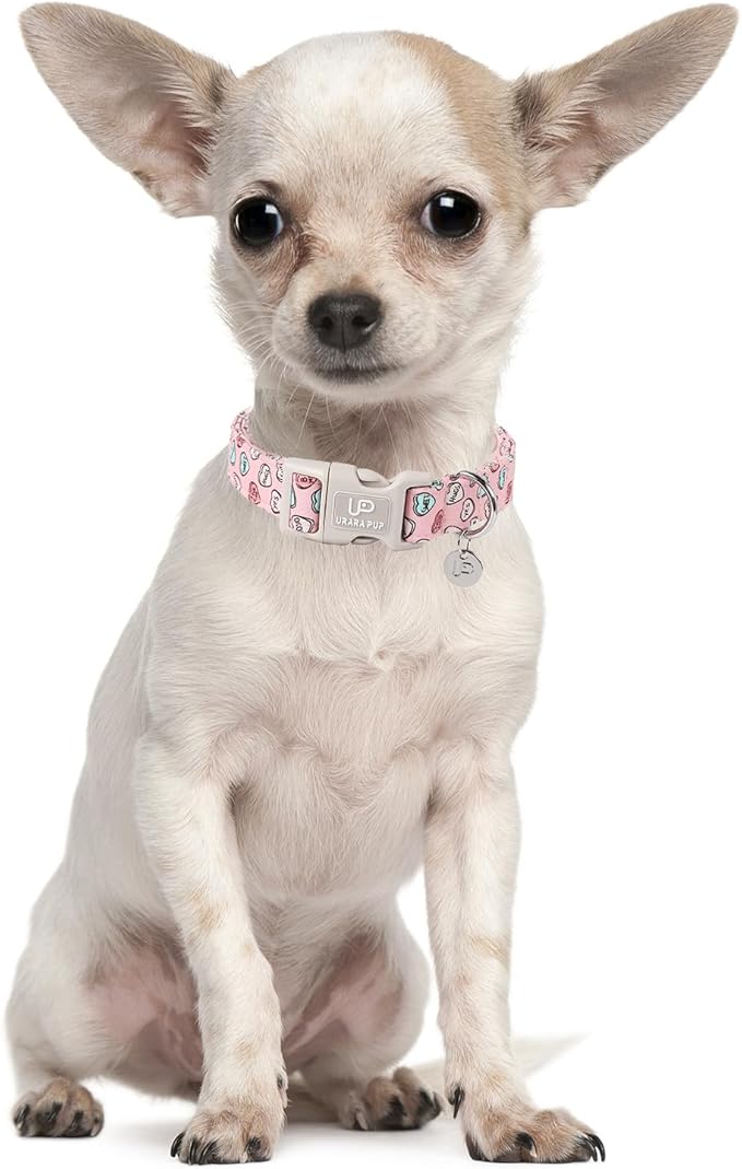 UP URARA PUP Valentine’s Day Dog Collar, Pink Heart Dog Collar with Quick Release, Valentine’s Day Gift Pet Girl Boy Dog Collar for Puppy Small Medium Dogs, Wedding Dog Collar