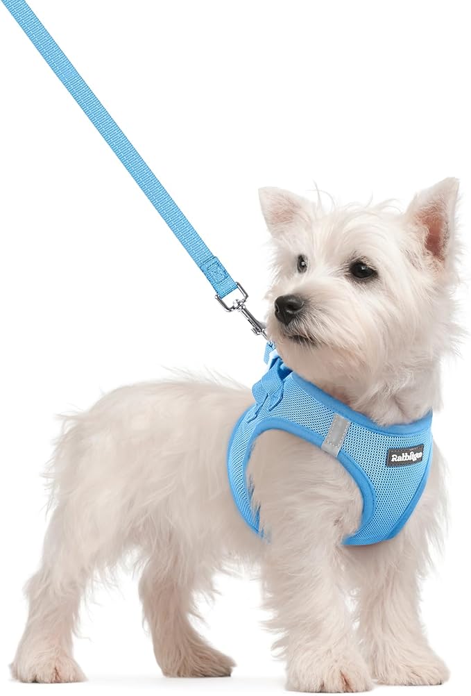 rabbitgoo Dog Harness Small Sized and Leash Set, Step in Soft Light Puppy Vest, Breathable Mesh Pet Harness, Reflective for Safe Easy Walking, Blue S