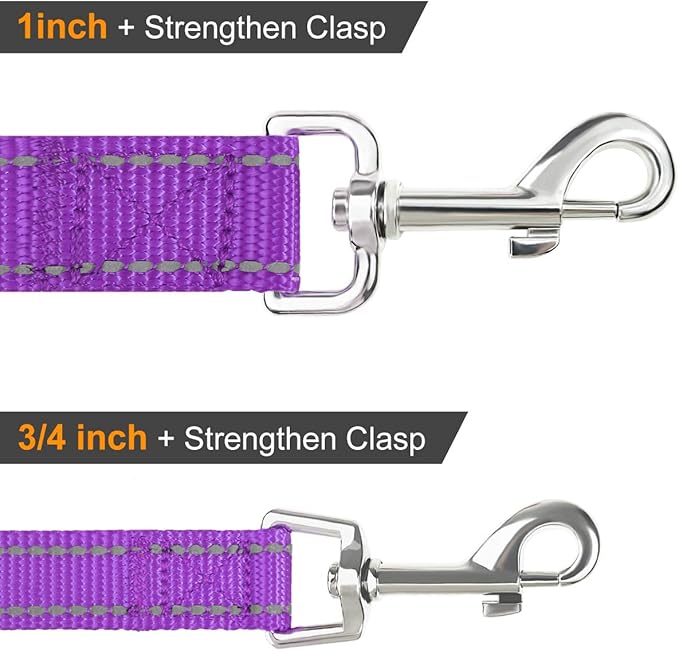 Joytale Double-Sided Reflective Dog Leash, 6 FT/5 FT/4 FT, Padded Handle Nylon Heavy Duty Leashes for Medium & Large Dogs Walking, Purple, 5FT