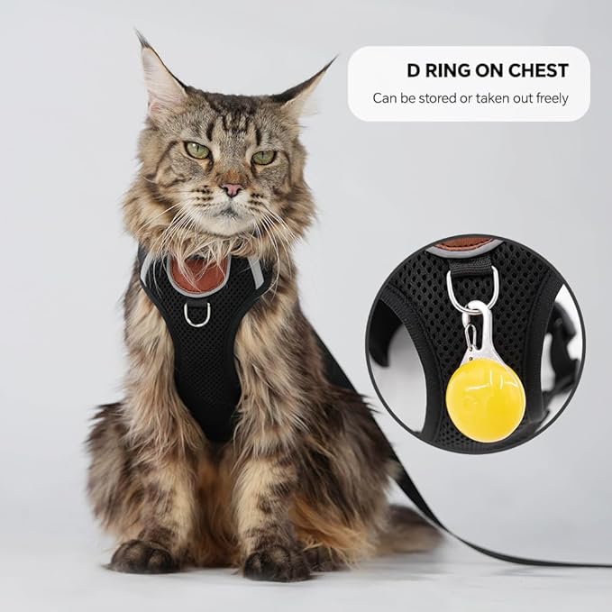 Cat Harness Leash Set with AirTag Holder, Upgraded Escape Proof Vest with Lead for Large Cat Small Dog Puppy Outdoor Walking, Soft Breathable Mesh Jacket with Reflective Strip (Black, L)