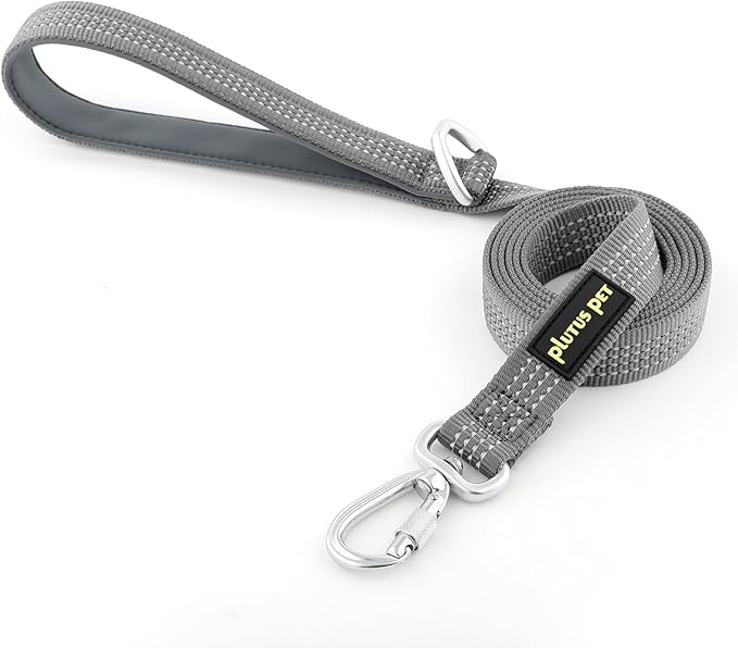 Plutus Pet Heavy Duty Dog Leash with Lockable Aluminum Carabiner, 4/6 Feet Long, Double-Sided Reflective Nylon, Padded Handle, for Puppy, Small, Medium and Large Dogs (Gray, 1" x 4')
