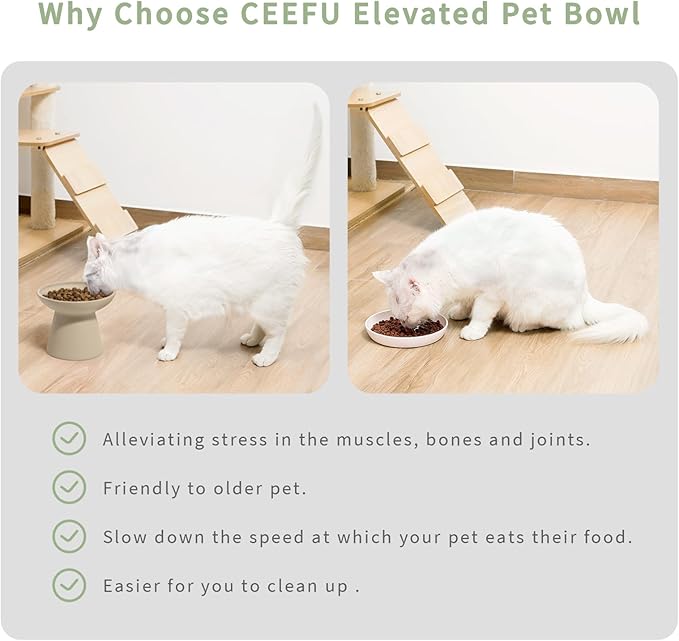 CEEFU 2 Elevated Cat Bowls Extra Wide for Food & Water – Whisker Fatigue, Ceramic Wide Shallow Food Dish, Lead & Cadmium Free, Raised Height for Cats, Pottery Clay (Not Glazed)
