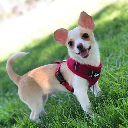 PUPTECK Soft Mesh Dog Harness and Leash Set Pet Puppy Cat Comfort Padded Vest No Pull Harnesses, Red, XS
