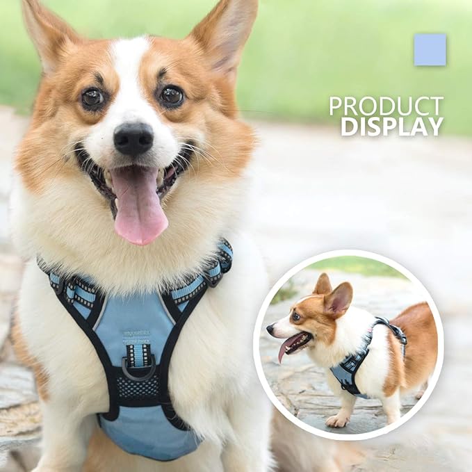 PoyPet No Pull Dog Harness, [Release on Neck] Reflective Adjustable No Choke Pet Vest with Front & Back 2 Leash Attachments, Soft Control Training Handle for Small Medium Large Dogs(Light Blue,M)