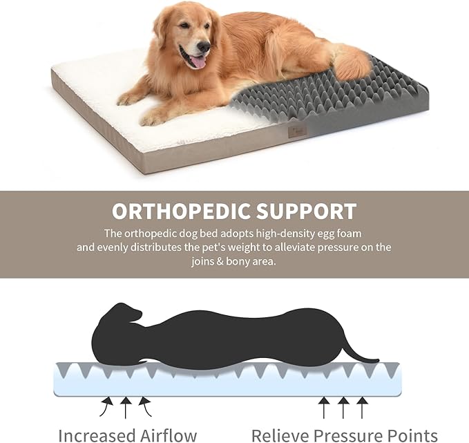 Tail Stories Orthopedic Dog Bed for Large Dogs, Plush Washable Pet Bed for Large Size Dogs with Egg Crate Foam & Removable Oxford Cover, 36x27 Inch, Khaki White