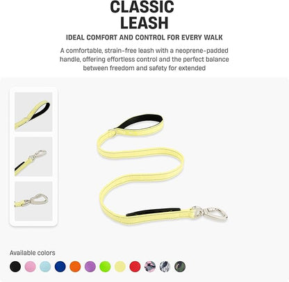 DF Co. Classic Dog Leash | Strain-Free, Shock Resistant, Prevents Jolts, Maintain Control | Durable Waterproof Material with Heavy Duty Clip & D-Ring (Orange, Regular)