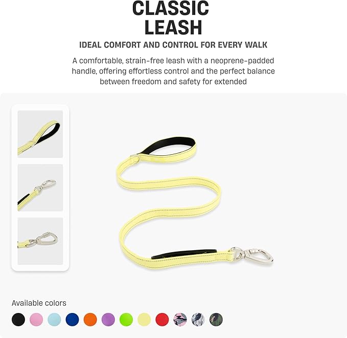 DF Co. Classic Dog Leash | Strain-Free, Shock Resistant, Prevents Jolts, Maintain Control | Durable Waterproof Material with Heavy Duty Clip & D-Ring (Classic Blue, Small)