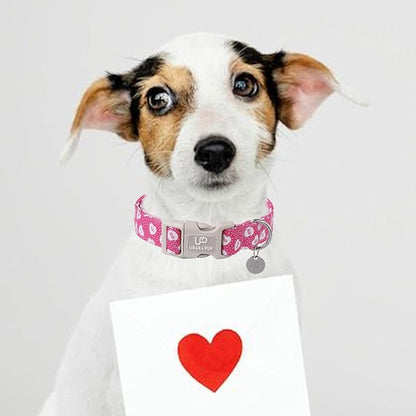 UP URARA PUP Valentine’s Day Dog Collar, Pink Heart Dog Collar with Quick Release, Valentine’s Day Gift Pet Collar for Puppy Girl Boy Dog, Wedding Dog Collar