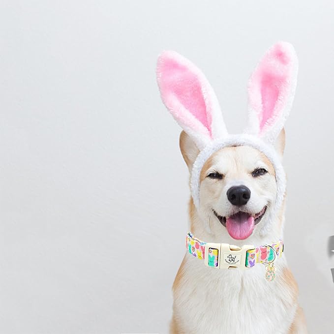Elegant little tail Easter Dog Collar,Bunny Pattern Pet Collar Pink Durable Holiday Female or Male Adjustable Cotton Pet Collar with Quick Release Buckle for Medium Dogs