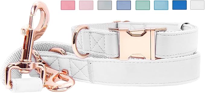 Soft Leather Dog Collar and Leash (6.6') Set - Stylish Rose Gold Heavy Duty Metal Buckle, 4 Adjustable Lengths Leash for Small Medium Large Dogs - Comfortable & Easy to Clean White S(12.2"-16.9")