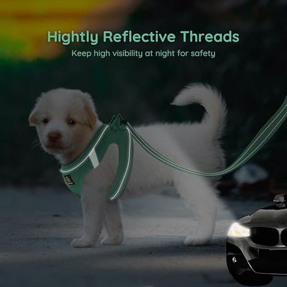 BELLA & PAL Small Emerald Dog Harness with Leash Set, No Pull, Step in Design, Reflective, Lightweight Mesh, S