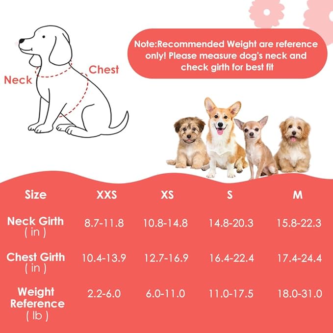 SlowTon Dog Harness Small Sized Dog - Soft XXS Dog Harness and Leash Set No Pull No Chock, Adjustable Lightweight Puppy Harness for XS Small Medium Dogs Cats (Purple Dasiy, XXS)