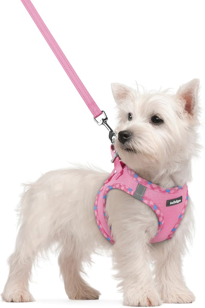 rabbitgoo Dog Harness Small Sized and Leash Set, Step in Soft Light Puppy Vest, Breathable Mesh Pet Harness, Reflective for Safe Easy Walking, Pink & Plaid Trim S