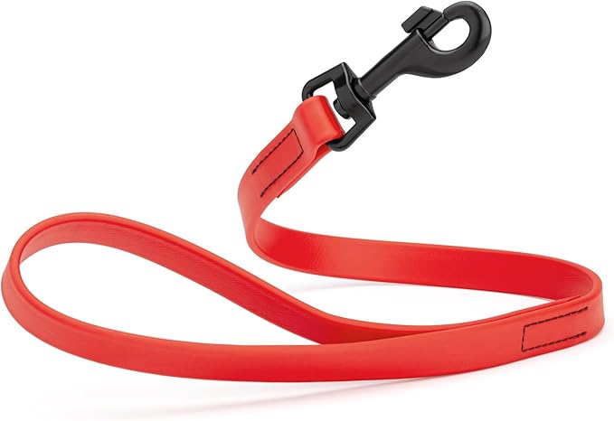 Dogline Biothane Waterproof Dog Leash Strong Coated Nylon Webbing with Black Hardware Odor-Proof Easy to Clean High Performance for Small or Large Dogs Made in USA 2 ft Lead, Cherry Red