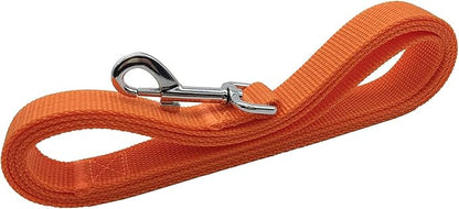 TAIAN 4FT/5FT/6FT Strong Dog Leash, Nylon Dog Leashes for Small Medium Large Dogs (Orange, 1 in x 10 ft)