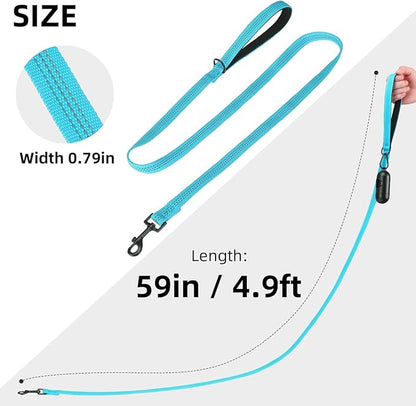 PUPTECK Reflective Dog Leash with Comfortable Padded Handle Durable Nylon Dog Lead for Small Medium and Large Dogs Cats Walking Running Training Outside, Teal, M