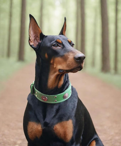 Leather Dog Collar, 2 inches Wide Heavy Duty Genuine Leather Collars, Handmade, Soft, and Luxury, Eye-catching Best Choice for Large and Medium Breed Dogs, Green 21-25 inches