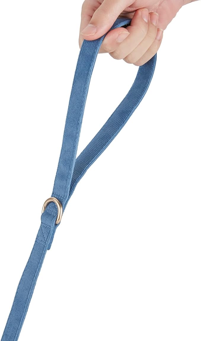 Soft Corduroy Dog Collar and Leash Set Adjustable Durable Dog Collars with Metal Buckle and Lead for Small Dogs,Royal Blue