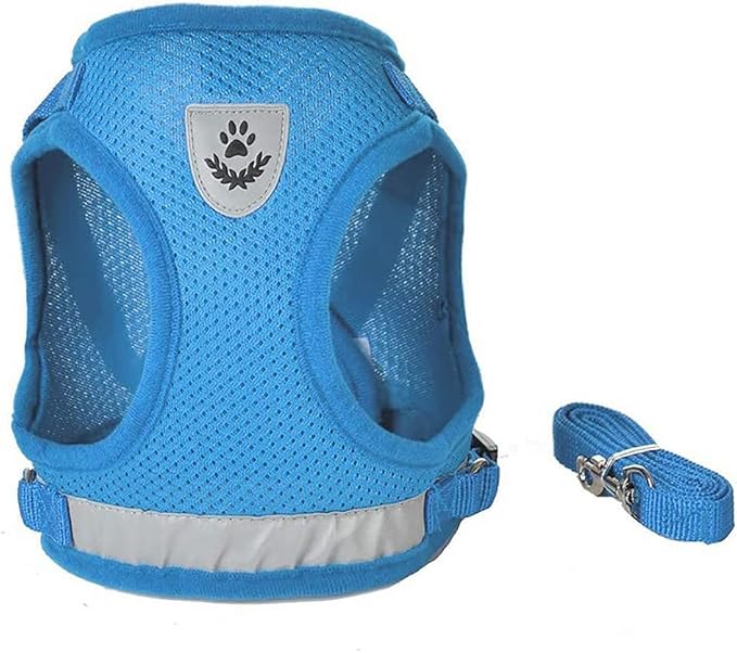 FEimaX Dog Harness and Leash Set for Walking, Soft Mesh Adjustable Easy Control Lightweight Cat Vest Harnesses with Reflective Strips, Escape Proof Small Dogs Cats Vests (Azure, X-Small)