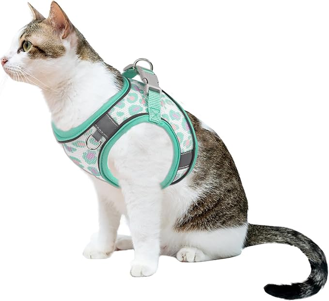 Step in Mesh Dog Harness and Leash Set Breathable Air Mesh Reflective Escape Proof Dog Harness Vest No Choke Lightweight Mesh Dog Harness (L(Neck:13.5"-15.5",Chest:18"-19.5"), Green-2)
