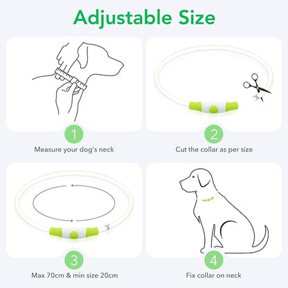 Colaseeme LED Dog Collar Light Up Dog Collars 1 Count USB Rechargeable TPU Glow Safety Basic Dog Collars for Large Medium Small Dogs (Cyan)