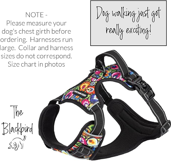 Lucky Love Dog No Pull Dog Harness, Adjustable and Easy to Walk, Cute Patterned Harness for Small Medium Large Male & Female Dogs - Blackbird, Small