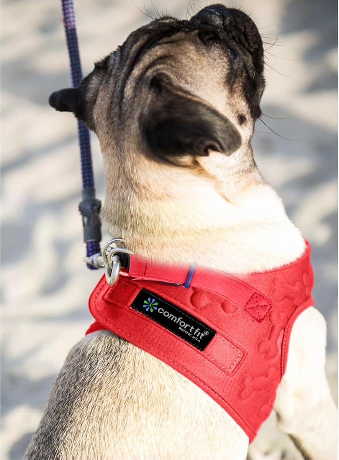 Comfort Fit Dog Harness Small Medium Sized Dogs No Pull Step in Dog Harness with Adjustable Buckles Soft Padded Easy Control Vest Harness Training Walking Running Extra Comfort Inside Velvet Plush