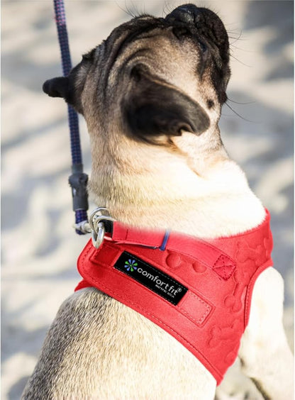 Comfort Fit Dog Harness Small Medium Sized Dogs No Pull Step in Dog Harness with Adjustable Buckles Soft Padded Easy Control Vest Harness Training Walking Running Extra Comfort Inside Velvet Plush