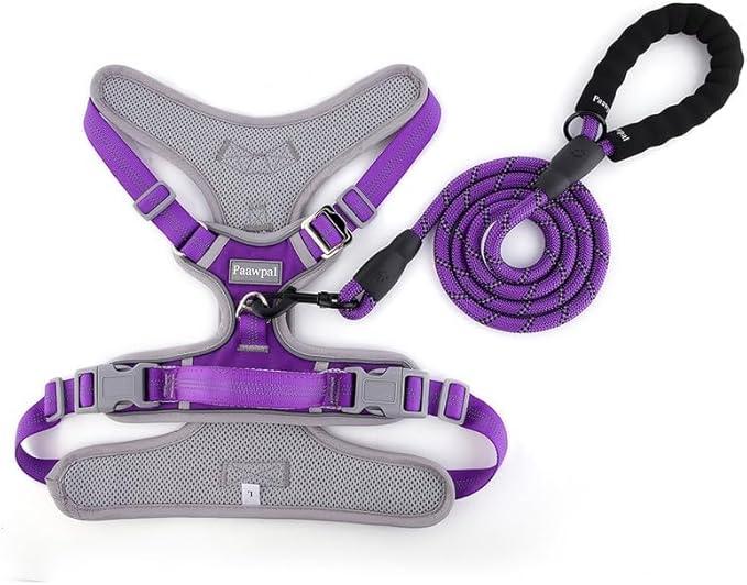 Paawpal Adjustable Dog Harness - No Pull, Reflective, Soft Padded for Small, Medium, Large Dogs - Includes Leash Purple XL