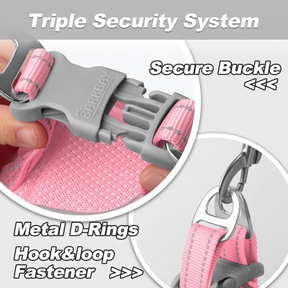 Dog Harness and Leash Set,Step in Small Sized Dog Harness,Soft Mesh,No-Chock,Reflective Adjustable,Secure with Hook & Loop Fastener,Puppy Vest for Small,Medium Dogs(Baby Pink,XXS)