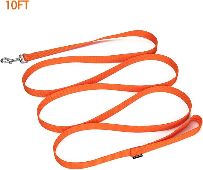 Siumouhoi Strong Durable Nylon Dog Training Leash, 1 Inch Wide Traction Rope, 6 ft 10ft 15ft Long, for Small and Medium Dog (Orange, 10 Feet)