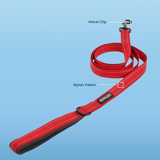 Best Pet Supplies Voyager Reflective Dog Leash or Collar with Neoprene Handle, for Small, Medium, and Large Breed Puppies, Cute and Heavy Duty for Walking, Running and Training - Red (Leash), M
