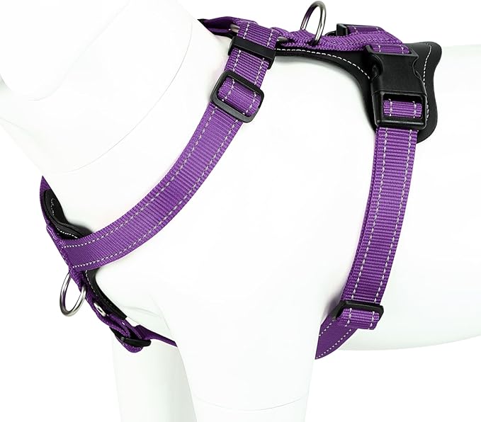 Plutus Pet Adjustable No Pull Dog Harness with Leather Accents, Heavy Duty Reflective Nylon Vest for Training, Hiking, Easy Walk Harness for Small, Medium, Large Dogs (Purple, M)