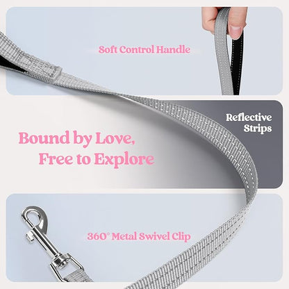 rabbitgoo Dog Harness Small Medium Sized and Leash Set, Step in Soft Light Puppy Vest, Breathable Mesh Pet Harness, Reflective for Safe Easy Walking, Pink & Gray L