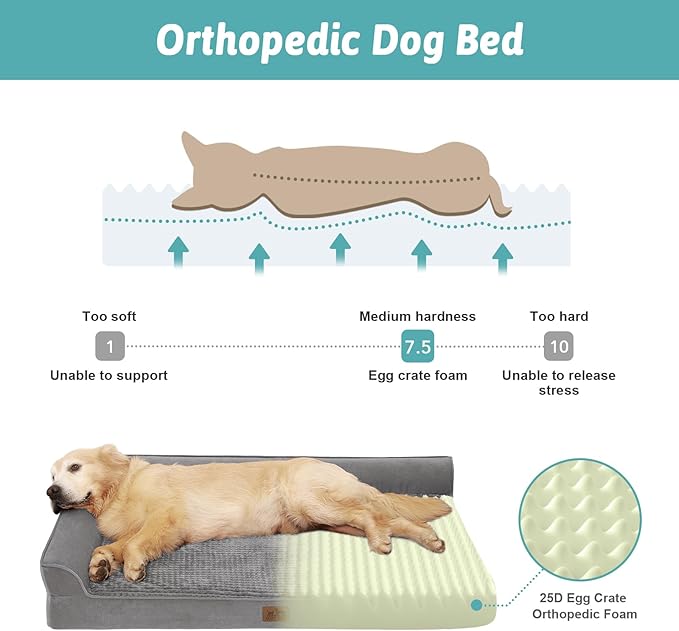 Orthopedic Dog Bed for Large Size Dog, XL Dogs Crate Bed, L Shaped Foam Anti-Slip Bottom Pet Cat Sofa with Washable Removable Cover, Suitable for Pet Up to 100 lbs, 42x30x7.5 inch, Grey
