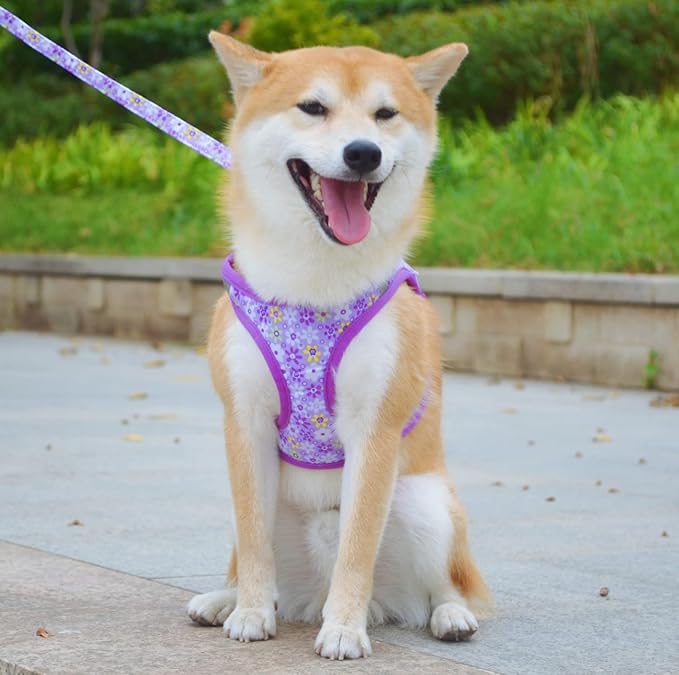 Moonpet Step in Dog Harness Leash Set- All Weather Reflective No-Pull Floral Pattern Padded Mesh Vest Harness for Cats Puppy Extra-Small Small Medium Large Dogs - Purple Flower - M