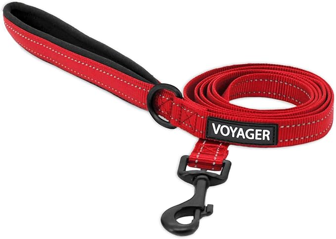 Best Pet Supplies Voyager Reflective Dog Leash or Collar with Neoprene Handle, for Small, Medium, and Large Breed Puppies, Cute and Heavy Duty for Walking, Running and Training - Red (Leash), L