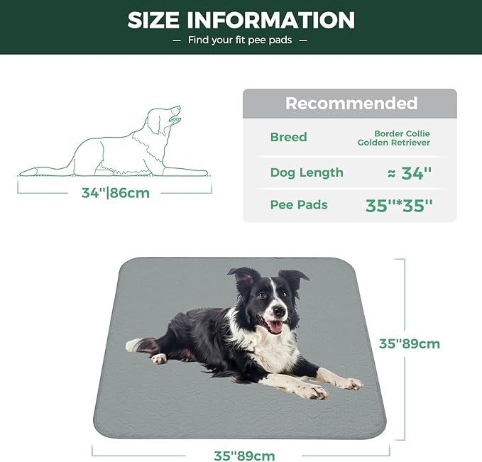 FXW Washable Pee Pads for Dogs, Leak-Proof & Non-Slip, Specifically Designed for Potty Training, 35" Square, Gray, 4 Packs