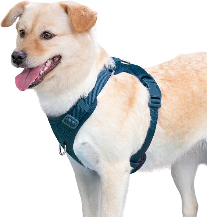 No Pull Dog Harness for Small Medium Large Dogs - Adjustable 2 Layer Mesh Dog Vest with Dual Clip, Escape Proof, Quick Release, Lightweight Breathable Mesh for Walking Hiking (Prussian Blue,XL)