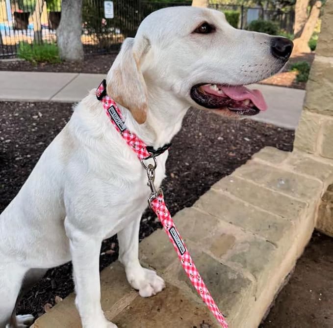 Lucky Love Dog - Easy Click Buckle Dog Collar with Leash Set Combo, Durable & Comfortable for Male & Female Dogs, Pet Collar for Small Dogs, Secure Fit - Bailey Combo, Small
