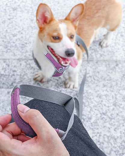 Puppy Harness and Leash Set,No Pull Adjustable Step in Soft Mesh Vest Harness,Easy Walk Reflective Pet Harness with Padded Handle for Walking Training Small Medium Large Dogs and Cats (Purple, XS)
