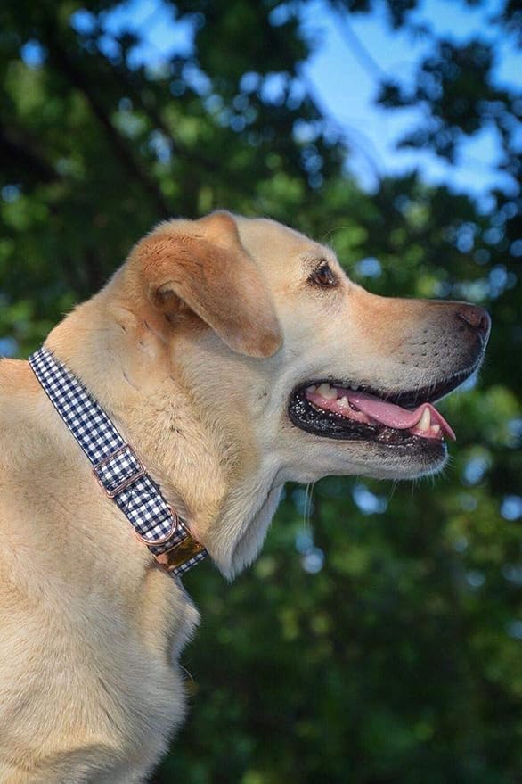 ARING PET Bowtie Dog Collars Adjustable Collar with Bow Tie for Puppy Small Medium Large Boy Girl Dogs-Size M Length 13.5-22"