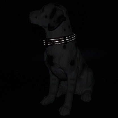 Mile High Life Dog Collar | Nylon Reflective Dog Collars | Light Weight Puppy Collars | Red Dog Collars for Medium Dogs (Solid Red, Medium)