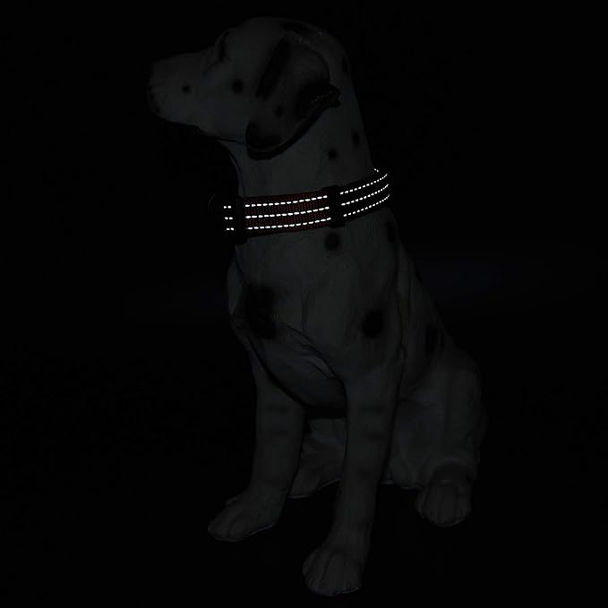 Mile High Life Dog Collar | Nylon Reflective Dog Collars | Light Weight Puppy Collars | Red Dog Collars for Small Dogs (Solid Red, Small)