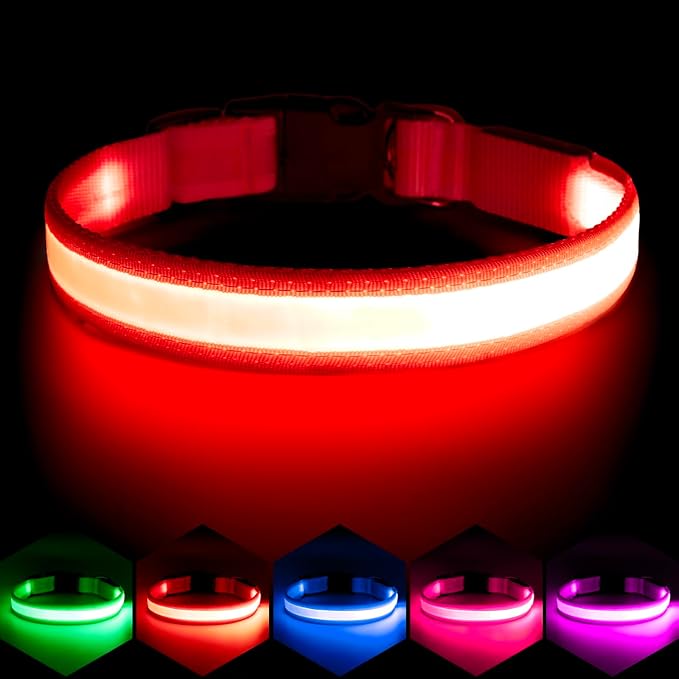 Vizpet LED Dog Collar, Light Up Dog Collar Adjustable USB Rechargeable Super Bright Safety Light Glowing Collars for Dogs(Medium,Red)