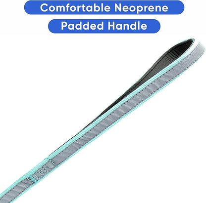 Pawtitas Personalized Teal Dog Leash 6 ft Custom ID Lead for Dogs & Puppies Reflective Comfortable Padded Handle Embroidered Name & Phone Number