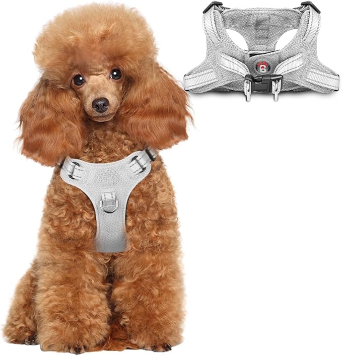 Dog Harness Step in Dog Vest Harness, Reflective Adjustable Puppy No Pull Harness Breathable Soft for Small and Medium Dogs Cats, Grey, XS