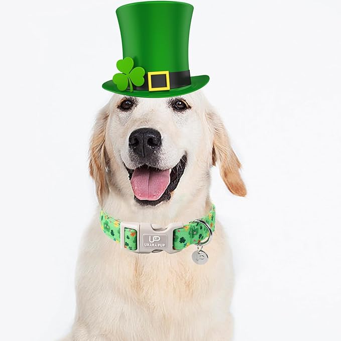 St. Patrick's Dog Collar, Cotton St. Patricks Clover Collar for Puppy Girl Boy Dog or Cat, Lucky Shamrock Dog Collar with Quick Release, Spring Green Dog Collars