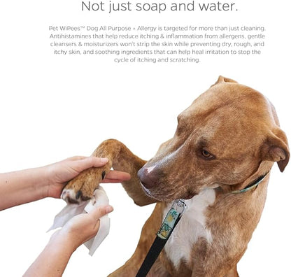 Dog All Purpose + Allergy Pet WiPees™ – 100 Allergy Wipes for Dogs, All Natural Dog Wipes for Paws, Folds & Hot Spots, Daily Pet Wipes for Allergy Relief & Skin Health (Calming, 100ct)